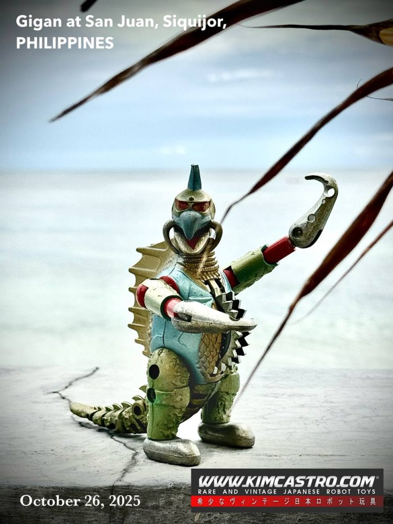 Gigan at San Juan, Siquijor, Philippines  October 26, 2025. フィリピン、シキホール島サンファンのギガン  2025 年 10 月 26 日